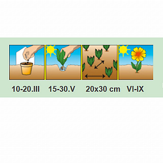 Разноцветный